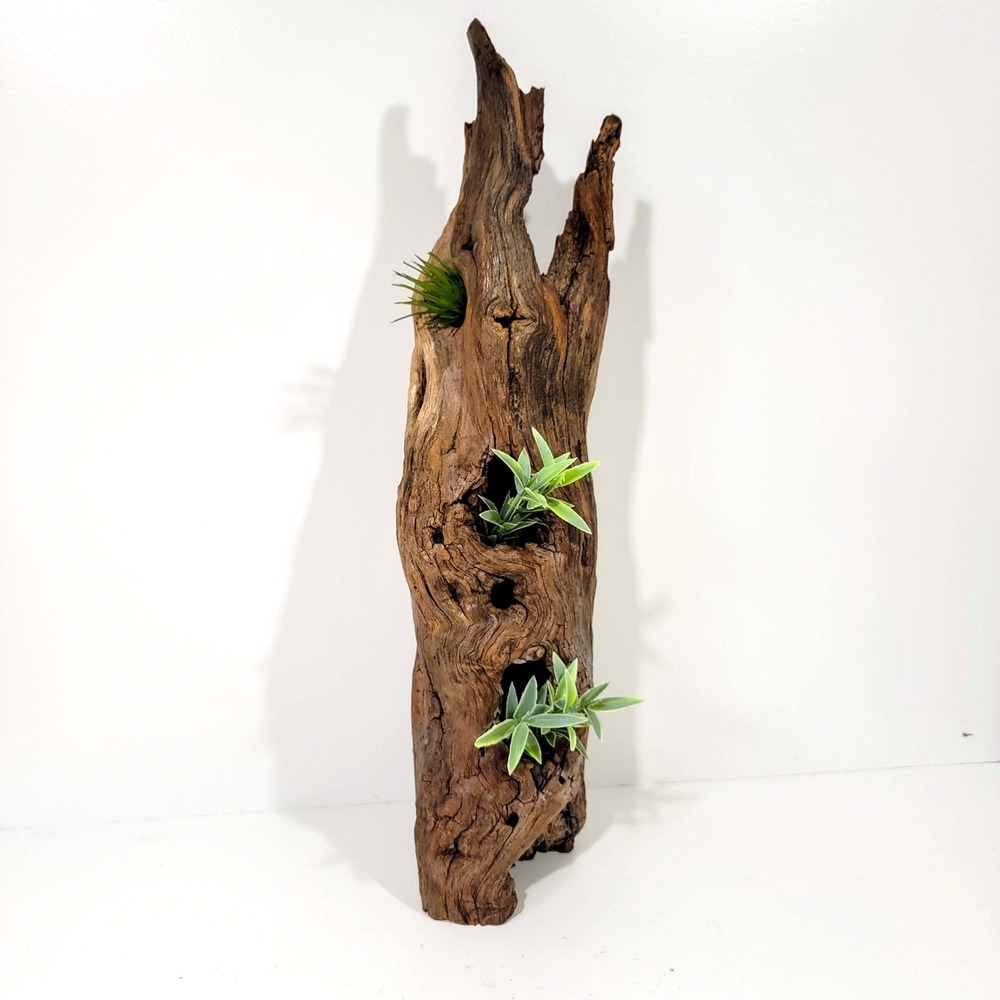 Natural Driftwood Log Sculpture Air Plant Holder Rustic Wood Decor